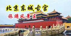 极品美女被肏穴视频中国北京-东城古宫旅游风景区